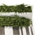 Urban Greenery Collection: Juniper & Cypress 3D model small image 4