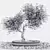 Miniature Bonsai Tree Set 3D model small image 4