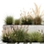 Urban Greenery Collection: Pampas Grass & Feather Grass 3D model small image 3