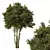 Premium Pine Tree No.15 Scenery 3D model small image 1