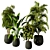 Modern Indoor Plant 223 Render 3D model small image 1