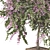  3D Plant Collection Set 3D model small image 5