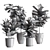 Ficus Lyrata Plant Bundle 3D model small image 2