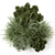 Outdoor Bush Collection - 3D Models 3D model small image 5