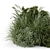 Outdoor Bush Collection - 3D Models 3D model small image 7