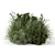 Outdoor Bush Collection - 3D Models 3D model small image 2