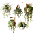 Wooden Hanging Planters with Trailing Plants 3D model small image 1