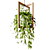 Wooden Hanging Planters with Trailing Plants 3D model small image 4