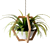 Wooden Hanging Planters with Trailing Plants 3D model small image 5