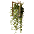 Wooden Hanging Planters with Trailing Plants 3D model small image 6