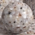 Seamless Terrazzo Quartzite Material Set 3D model small image 4