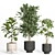 Modern Indoor Plant Set - Concrete & Metal 3D model small image 2