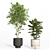 Modern Indoor Plant Set - Concrete & Metal 3D model small image 3