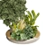 Premium Outdoor Garden Plant Collection 3D model small image 2