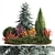 Alpine Collection Blue Spruce with Berberis 3D model small image 1