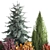 Alpine Collection Blue Spruce with Berberis 3D model small image 2