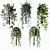 CIGALES WALL Hanging Plants Display 3D model small image 2