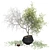 Modern Decorative Tree Set 3 3D model small image 3