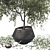 Modern Decorative Tree Set 3 3D model small image 12