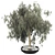 Plant Collection Bundle with Trees 3D model small image 2