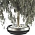 Plant Collection Bundle with Trees 3D model small image 6