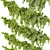 Ivy Fitowall Outdoor Plant Collection 3D model small image 3