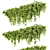 Ivy Fitowall Outdoor Plant Collection 3D model small image 4