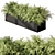 Outdoor Fern Plant, Large Size 3D model small image 2