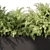 Outdoor Fern Plant, Large Size 3D model small image 4