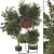 Modern Plant Collection with Shelf 3D model small image 1