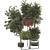 Modern Plant Collection with Shelf 3D model small image 2