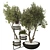 Modern Plant Set on Metal Shelf 3D model small image 2