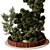 Outdoor Plant 207 3D Model 3D model small image 2