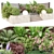 Organic Backyard Landscaping Plants Set 3D model small image 1