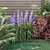 Organic Backyard Landscaping Plants Set 3D model small image 4