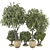 High-Quality Decorative Potted Plant Collection 3D model small image 2