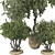 High-Quality Decorative Potted Plant Collection 3D model small image 5