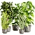 Premium Indoor Plant Collection Set 3D model small image 1