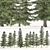 Optimized 3D Alaskan Cedar Forest 3D model small image 1