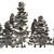 Optimized 3D Alaskan Cedar Forest 3D model small image 9