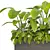 Tropical Outdoor Plant Set 2013 3D model small image 4