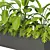 Tropical Outdoor Plant Set 2013 3D model small image 5
