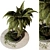 Outdoor Plant 211 - 2015 Edition 3D model small image 2