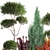 Conifer Collection for Landscape Transformation 3D model small image 2