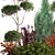 Conifer Collection for Landscape Transformation 3D model small image 3