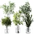 Botanical Greenery Bundle Indoor Display 3D model small image 1