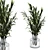 Botanical Greenery Bundle Indoor Display 3D model small image 4