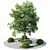 Exterior Plant Set Bundle 11 3D model small image 1