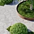 Exterior Plant Set Bundle 11 3D model small image 2