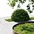 Exterior Plant Set Bundle 11 3D model small image 3